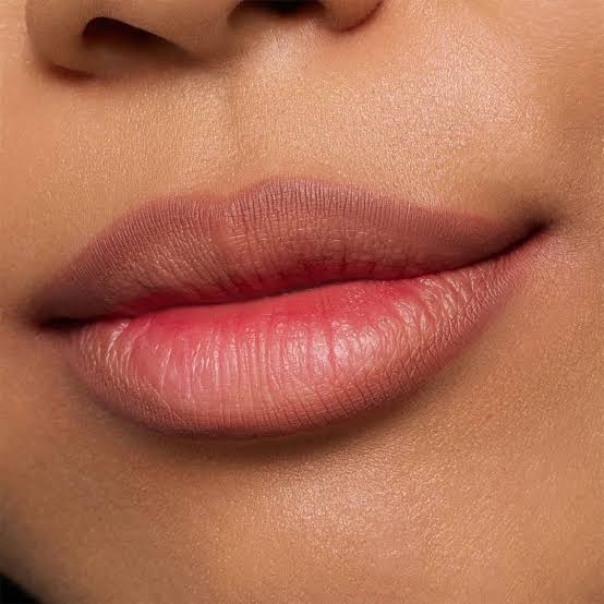 8h matte comfort lipliner 10 THE Perferct Shade